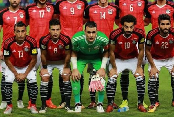 عمرو وردة