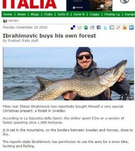 إبراهيموفيتش