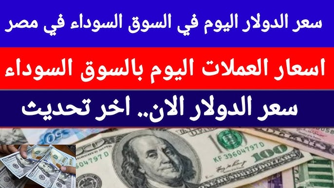 أسعار العملات في السوق السوداء اليوم في مصر بعد الهبوط الكبير في ختام تعاملات الأثنين 20-1-2025