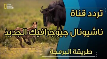 تردد قناة ناشيونال جيوغرافيك