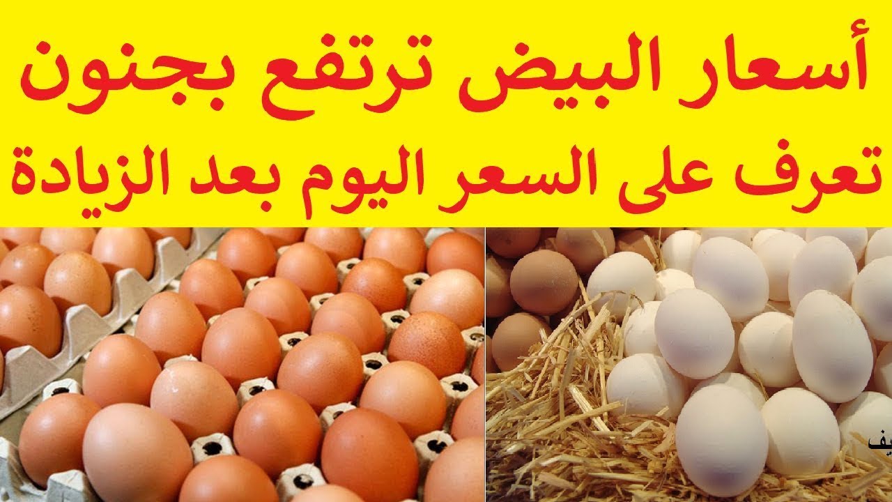 سعر كرتونة البيض اليوم الخميس للمستهلك في الأسواق المصرية