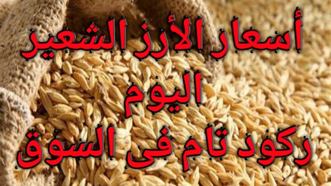 تراجع أسعار الارز الشعير اليوم الاربعاء 22 يناير 2025 للمستهلك في مصر وفقا لما أعلنته بوابة الأسعار المحلية