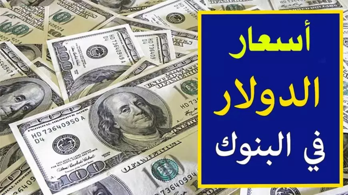 استقرار سعر الدولار اليوم الاحد في مصر بكافة البنوك العاملة.. ما هي توقعات سعر الدولار الفترة المقبلة؟