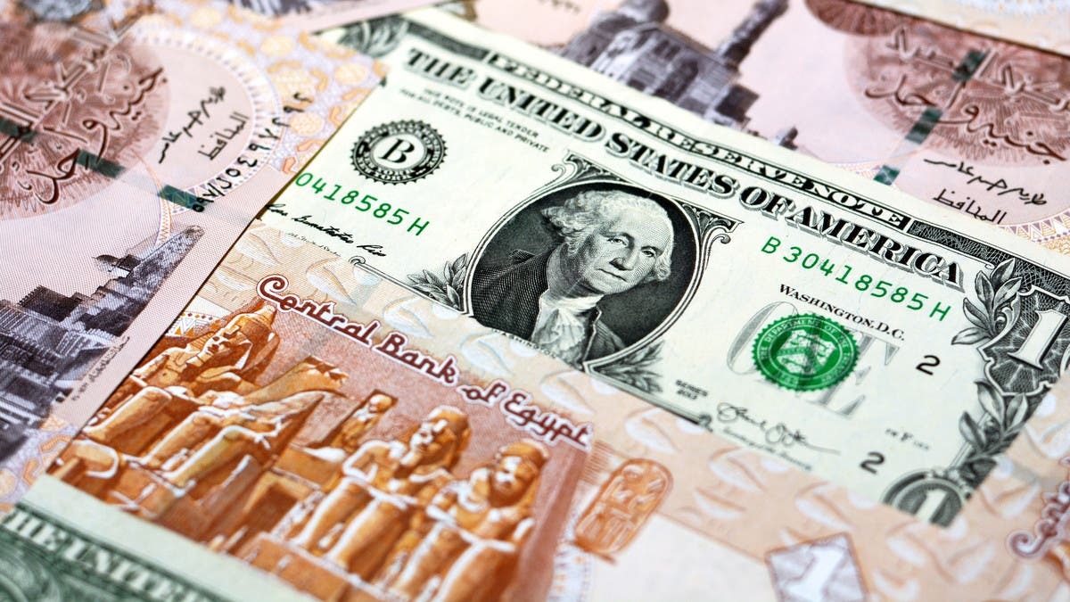 استقرار سعر الدولار اليوم في مصر مقابل الجنيه داخل البنوك للبيع والشراء.. الأخضر مستقر منذ بداية 2025
