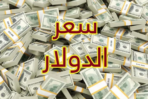 100 دولار كم جنيه مصري في السوق السوداء؟.. تعرف علي سعر الدولار اليوم في مصر اليوم الجمعة 17 يناير 2025 بعد عودة السوق الموا