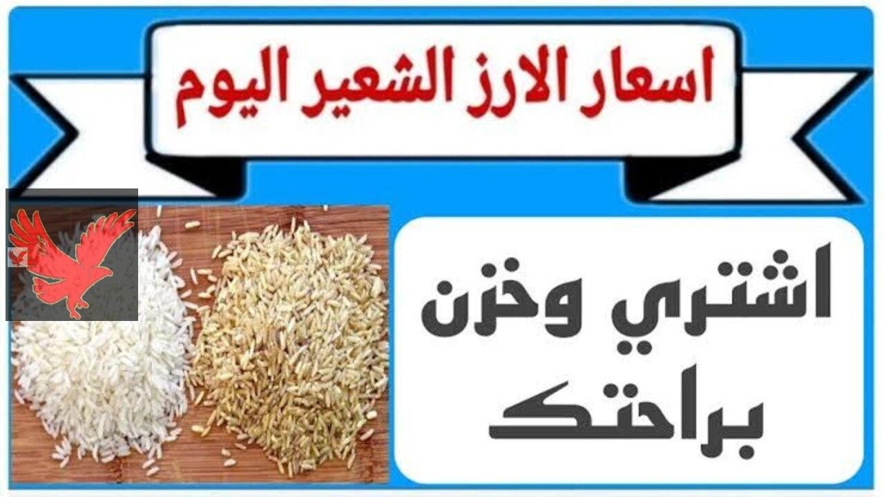 أسعار الأرز الشعير اليوم