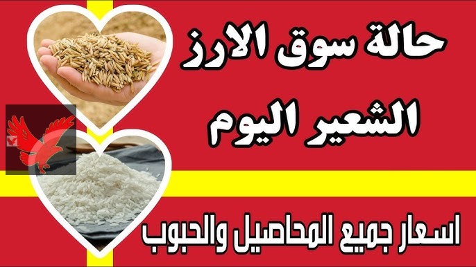 سعر الأرز الشعير اليوم