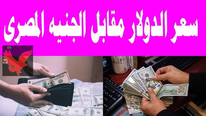 سعر الدولار اليوم