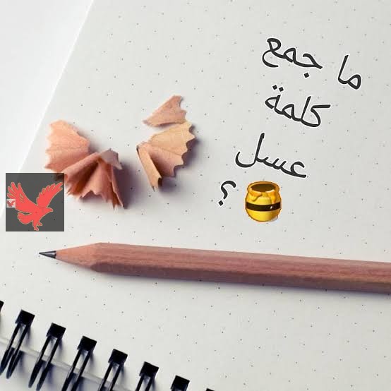 تعرف جمع كلمة عسل في اللغة العربية إيه ؟... اكتشف جمع كلمة عسل التي احتار فيها المعلمين والطلاب