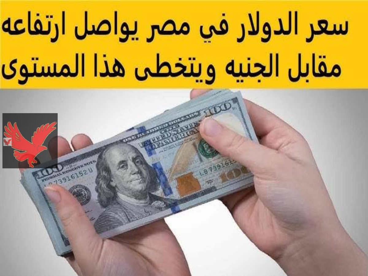 USD«كم سعر 100 دولار في السوق السوداء؟» .. سعر الدولار مقابل الجنيه اليوم السبت 24  مايو مفاجآت بعد خفض الفائدة.. الدولار يكسر حاجز 50! 