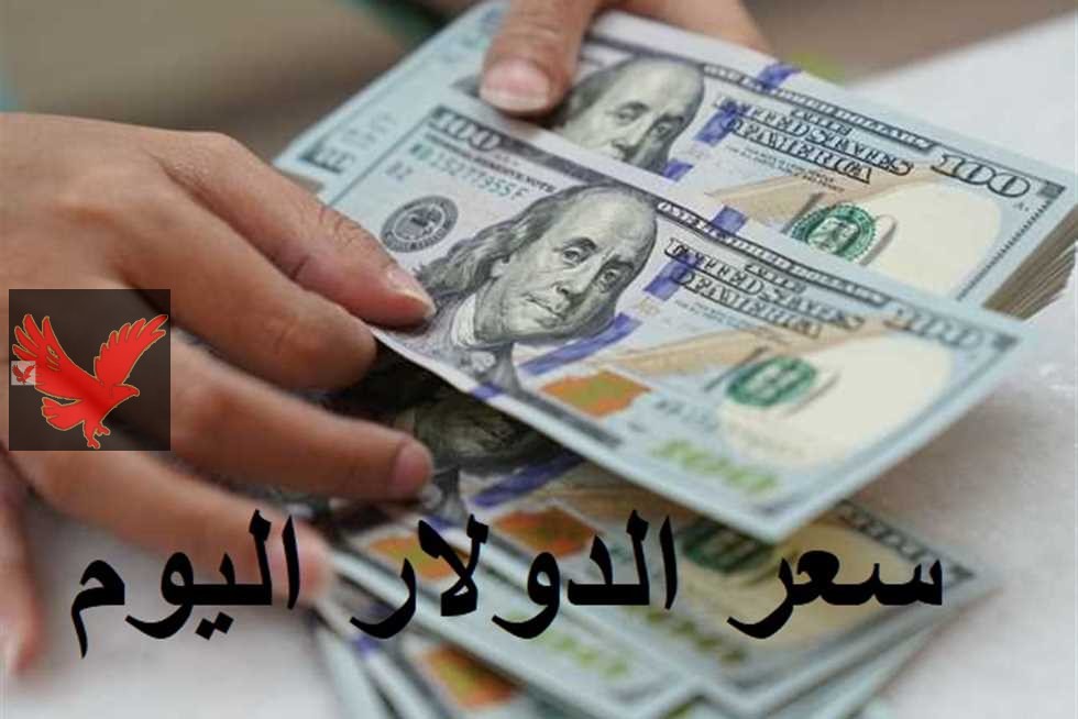 عاملة كام سعر 1000 دولار في السوق السوداء .. سعر الدولار مقابل الجنيه اليوم الخميس 15 مايو 2025 في البنوك المصرية