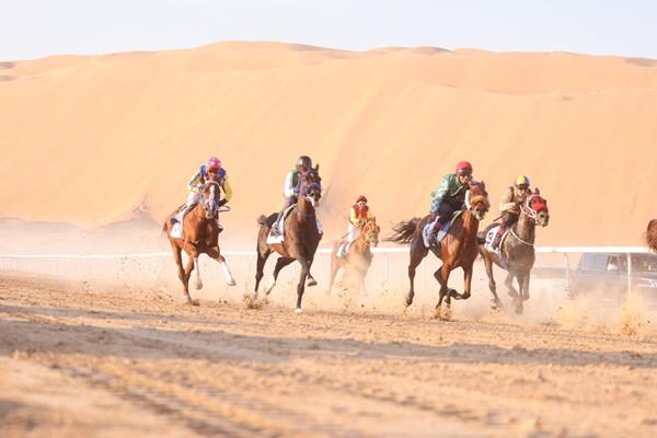 «ليوا الرياضي» ينظم السباق الثاني للخيول العربية في «الظفرة»
