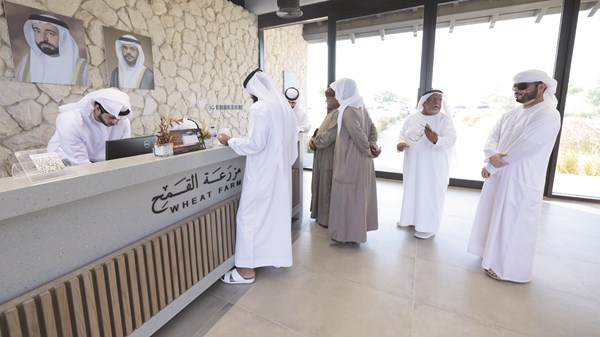 توزيع بذور القمح العضوية على المزارعين في الشارقة
