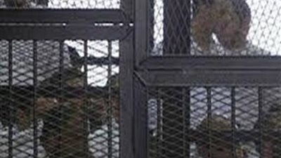 فض الأحراز يقترب.. تأجيل محاكمة الهيكل الإداري لجلسة يونيو