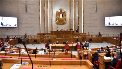 النائب محمد عبدة يطالب بالعودة لنظام الشرائح في استهلاك الكهرباء بدلا من الفاتوة الموحدة