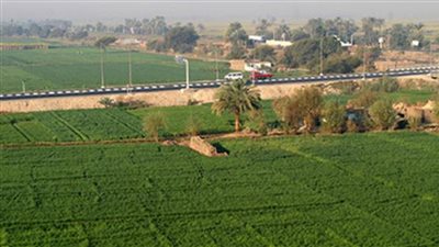 خاص| الأراضي الزراعية تتصدر قائمة الاستثمارات الأكثر أمانًا.. خبير اقتصادي يكشف الأسباب