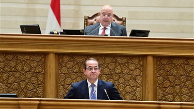 تخصيص مليار جنيه لدعم النشاط الاقتصادي وزيادة مخصصات التعليم والصحة بنسبة لا تقل عن ٢٠٪؜