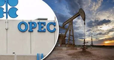 قرار وطنى سيادى.. ماذا قال وزير الطاقة الإماراتى عن قرار الخروج من أوبك؟