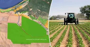 بتوجيهات الرئيس السيسى.. ثورة زراعية لتأمين غذاء المصريين وحق الأجيال القادمة ودعم الصادرات.. مشروع الـ 1.5 مليون فدان يؤمن 25 ألف فرصة عمل سنويا.. تبطين وتأهيل الترع وفر نحو 19 مليار متر مكعب من المياه