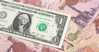 الدولار مستقر فى البنوك اليوم.. أسعار السبت 2-5-2026