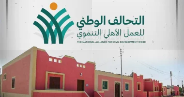 القانون يحدد إجراءات مراجعة الموازنة الخاصة بالتحالف الوطنى.. تعرف عليها