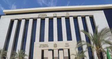 تعرف على تشكيل المجلس الأعلى لتنمية مهارات الموارد البشرية