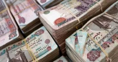 قبل ما تدى فلوسك لحد.. 7 خطوات تحميك من النصب باسم الاستثمار