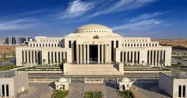 تعديلات تشريعية أمام الشيوخ غدا لدعم الاستدامة المالية للتأمينات والمعاشات