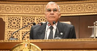 مجلس الشيوخ يعلن تأجيل جلساته وجدول إعادة الانعقاد في 8 يونيو