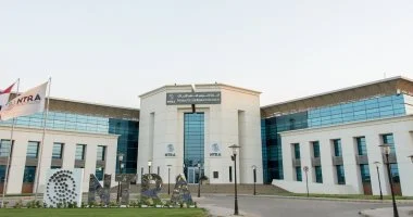 محاكمة شركات المحمول.. لماذا أحال تنظيم الاتصالات الشركات الأربع إلى النيابة؟
