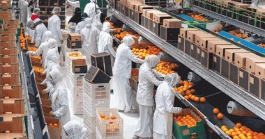 البترول والفواكه تدفع صادرات مصر للارتفاع فى مايو الماضى لـ4.5 مليار دولار