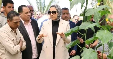 طفرة فى الاستزراع السمكى.. مزارع فى قلب الصحراء بالوادى الجديد (صور)