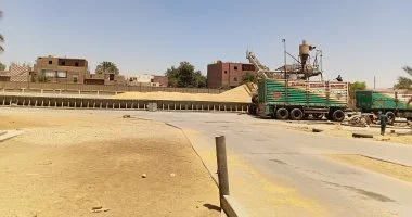 تموين الدقهلية تحدد 36 موقعا تخزينيا بسعة 290,870 طنًا لاستقبال القمح