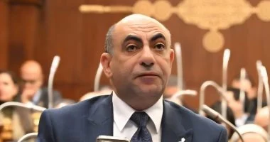 نائب: خطاب الرئيس وضع محددات واضحة لدور مصر الإقليمى ودعم فلسطين