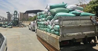أطنان الذهب الأصفر تنطلق في العربات من المزارع إلى مواقع التخزين.. وكيل تموين الأقصر يؤكد على دعم المزارعين في 4 مواقع تخزينية بسعة 43 طن قمح.. والمزارعون ينطلقون في عمليات الحصاد والدراسة للقمح قبل التوريد