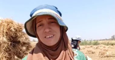 المرأة الريفية شريك أساسي في موسم حصاد القمح بين البيت والغيط.. فيديو
