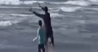 كشف ملابسات واقعة إلقاء كلب بمياه البحر بدمياط وضبط المتهم