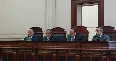 إحالة أوراق المتهمين بقتل صديقهم وسط الشارع في الإسكندرية للمفتي.. فيديو