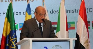محمود عصمت: دعم جهود إنشاء سوق إقليمية تنافسية وفعالة للكهرباء بأفريقيا