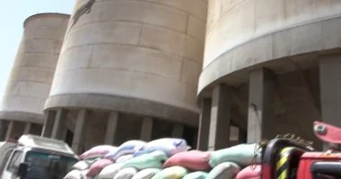 محافظ سوهاج: توريد 46 ألف و590 طنا من القمح إلى الشون والصوامع