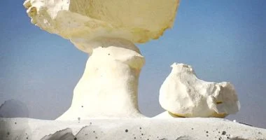 مكتبة الإسكندرية تطلق وثائقي «محمية الصحراء البيضاء» ضمن سلسلة «عارف»