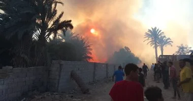 حريق ضخم بمزارع فى حى المصيعد بمدينة طور سيناء.. فيديو وصور
