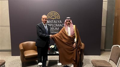 المساس بسيادة السعودية والدول الخليجية مساساً مباشراً بالأمن القومي المصري والعربي