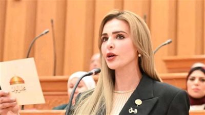 طلب إحاطة برلماني بشأن تعثر التحول إلى سوق كهرباء تنافسي رغم صدور قانون إعادة هيكلة القطاع