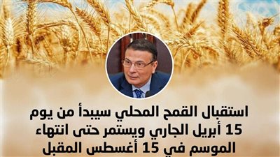 وزير الزراعة يعلن الاستعدادات النهائية لحصاد القمح: 2500 جنيه للإردب