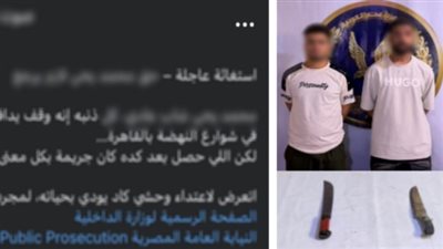 ضبط شقيقين عاكسا فتاة وتعديا على شقيقها بأسلحة بيضاء في السلام