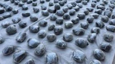 2.5 طن بـ 175 مليون جنيه.. ضبط تشكيل عصابي بتهمة جلب وتهريب المواد المخدرة