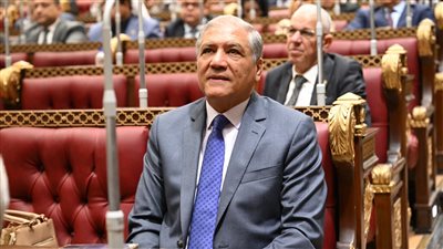 الدبلوماسية المصرية كلمة السر في تهدئة الأزمات وصناعة التوافقات الدولية