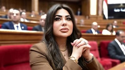 النائبة ولاء الصبان تحذر من مخاطر التجارة الإلكترونية غير الرسمية وتدعو لتشريعات صارمة لمواجهة الاقتصاد الخفي