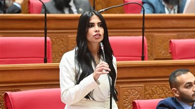 سؤال نيابي يثير غياب دور وزارة الاتصالات في مكافحة الغش الالكتروني خلال امتحانات الثانوية العامة